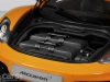 McLaren Luggage in car