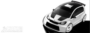 Skoda Citigo Rally Skoda Citigo Rally