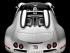 veyron-grand-sport-21.jpg