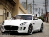 Jaguar C-X16 Neutron White 1