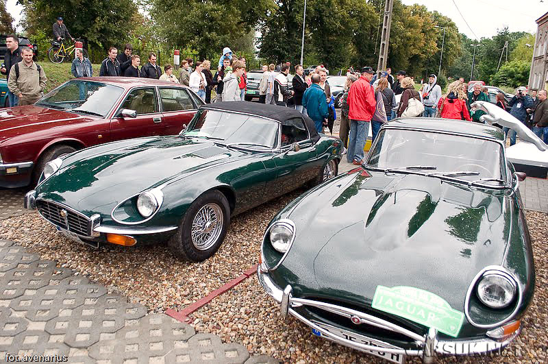 Jaguar club спб