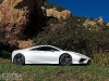 Lotus Esprit (2)