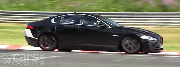 Photo new small Jaguar