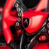 Apollo Intensa Emozione (Apollo IE) Photo