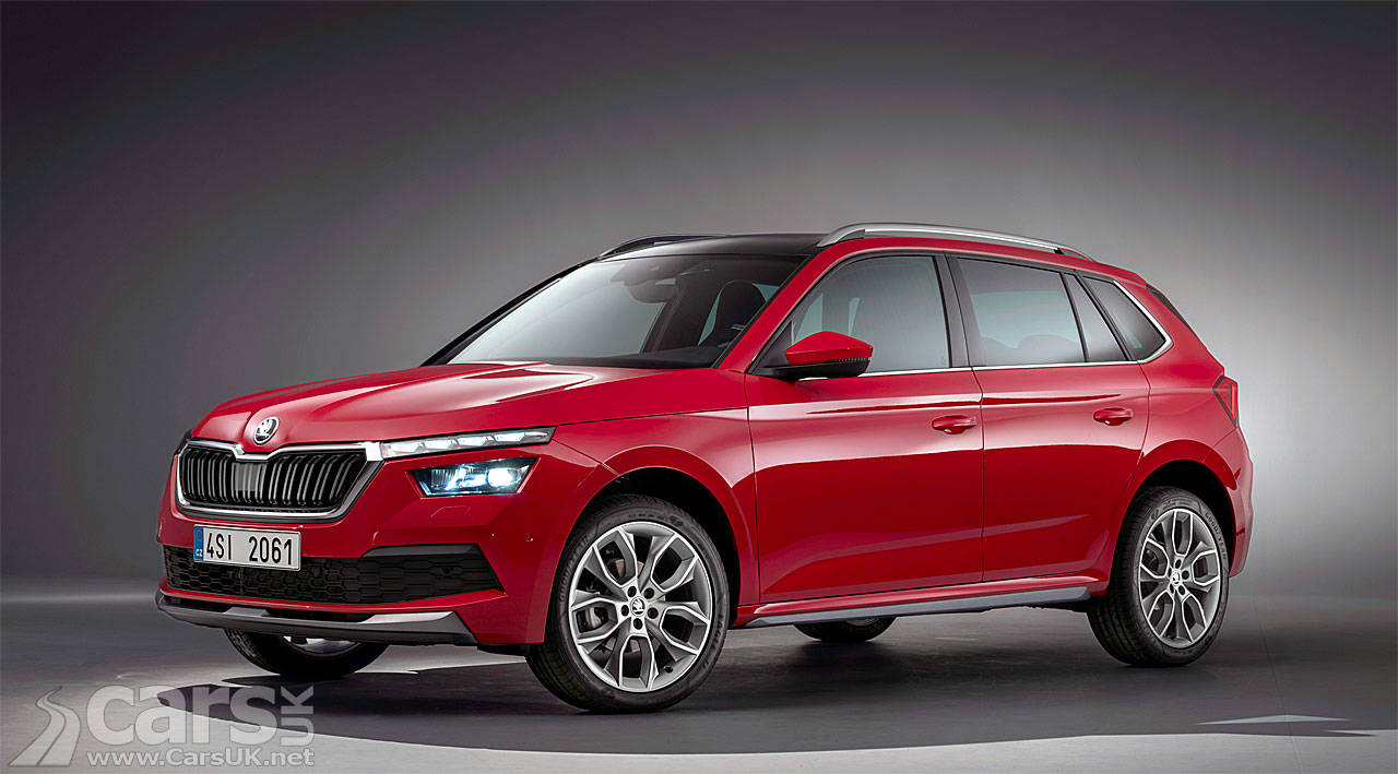 X7 цвет skoda