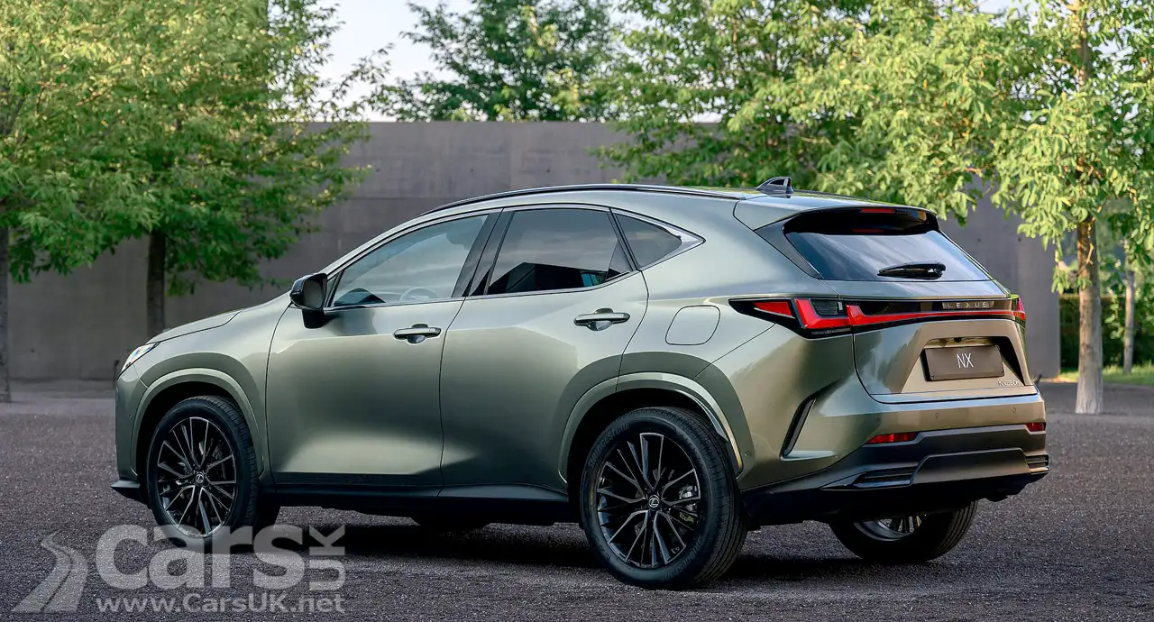 20206 Lexus NX rear view